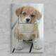 Interruptor Impresso Animais Cachorrinho