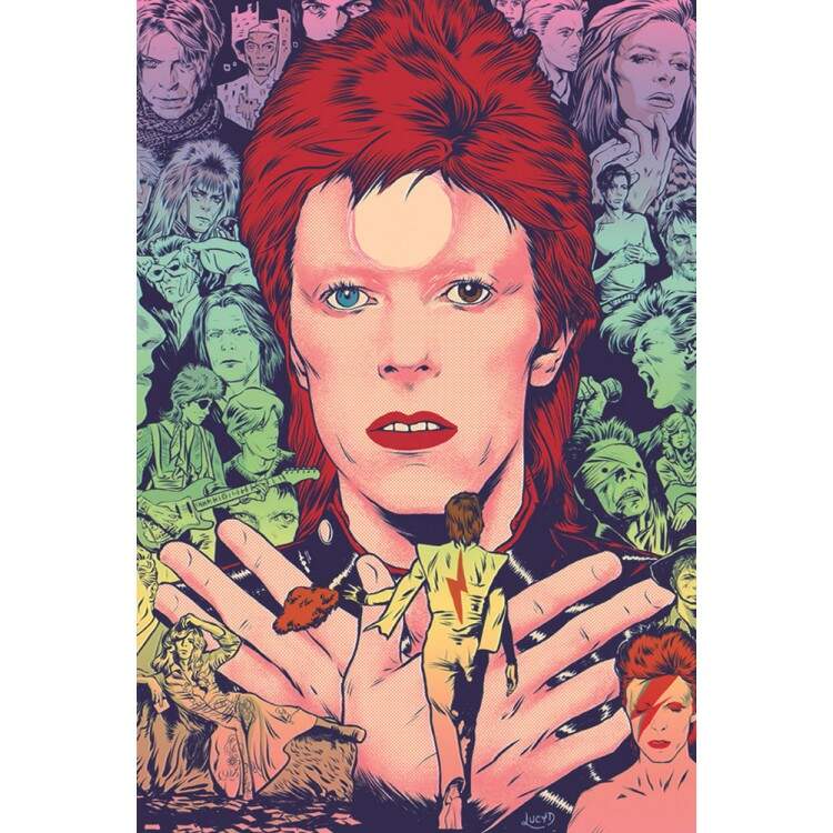 Placa Decorativa David Bowie 5