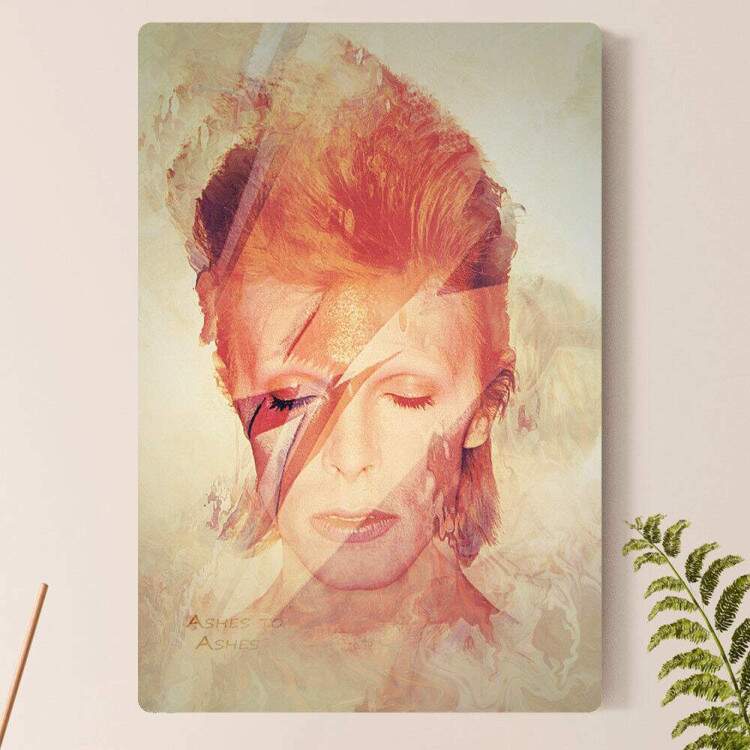 Placa Decorativa David Bowie 8