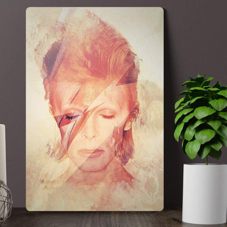 Placa Decorativa David Bowie 8