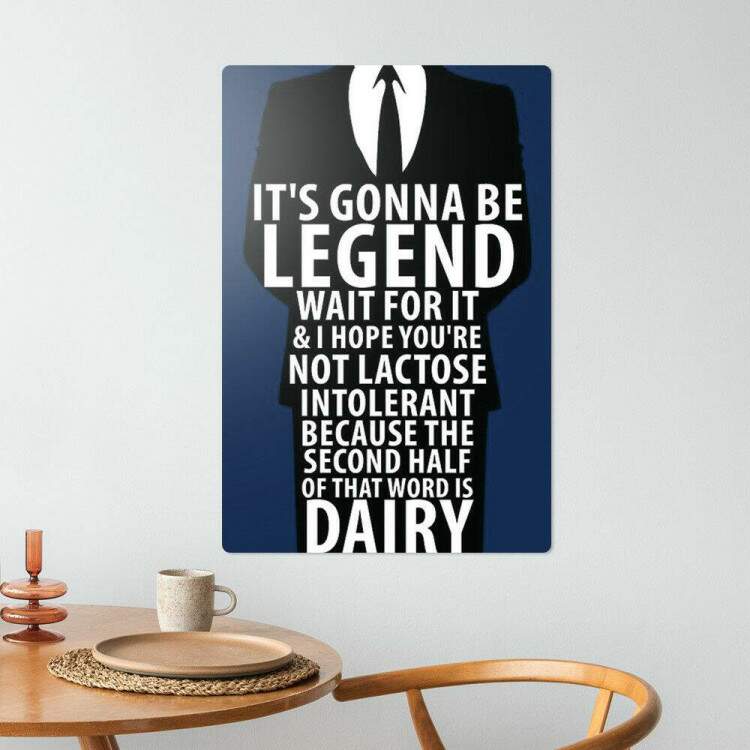 Placa Decorativa How I Met Your Mother 29