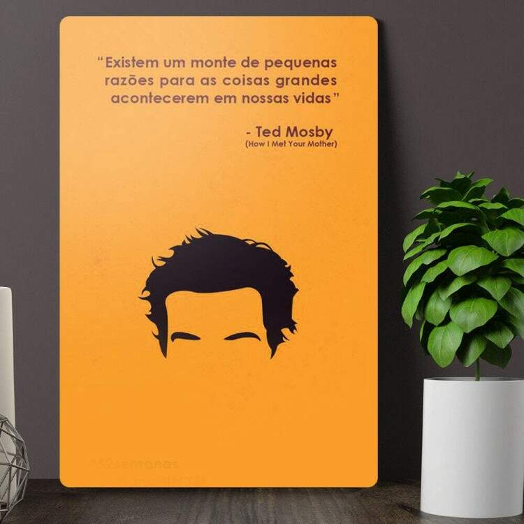 Placa Decorativa How I Met Your Mother 46