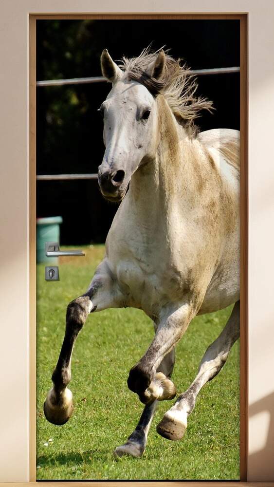 Adesivo Para Porta Cavalo Correndo