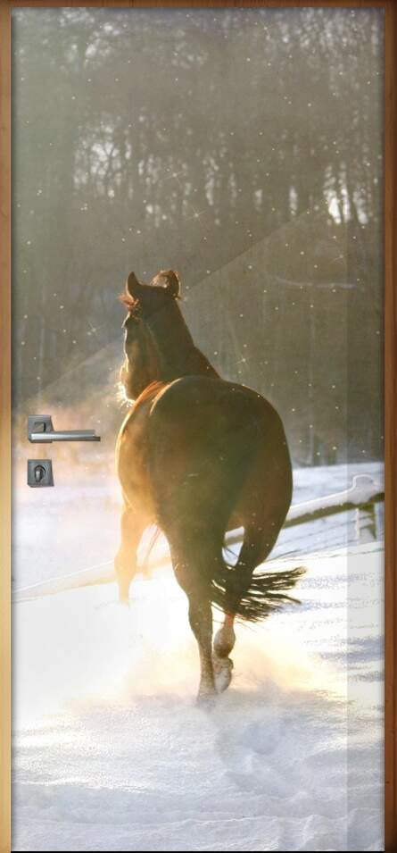 Adesivo Para Porta Cavalo Na Neve