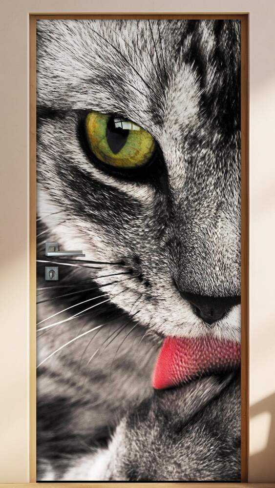 Adesivo para Porta Gatinho Lambendo Patinha