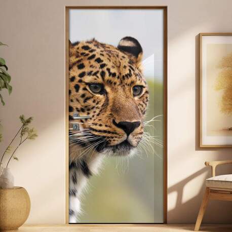 Adesivo para Porta Ona Pintada
