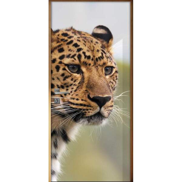 Adesivo para Porta Ona Pintada