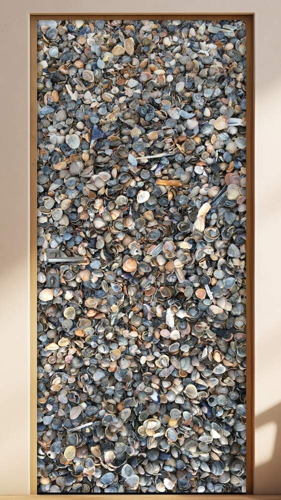 Adesivo Para Porta Conchas