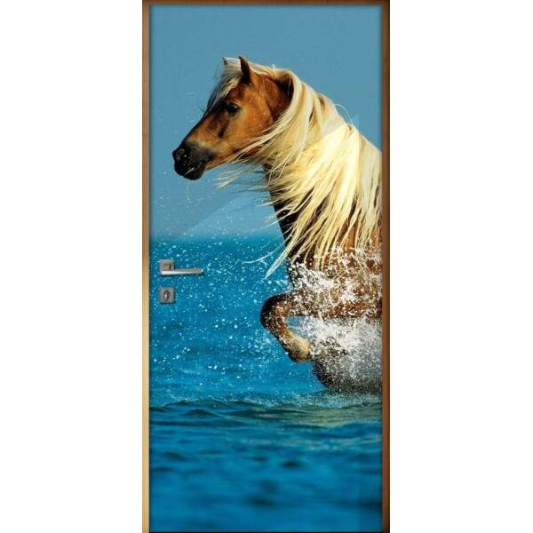 Adesivo Para Porta Animais Cavalo 1 Mod. 10