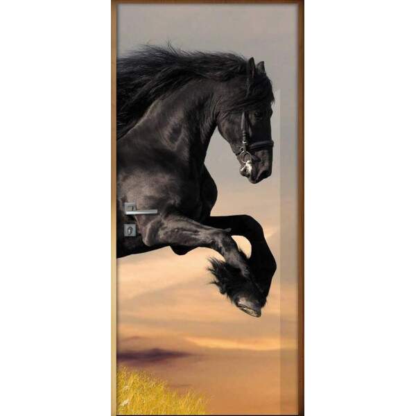 Adesivo Para Porta Animais Cavalo 3 Mod. 12