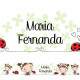 Faixa Decorativa Joaninha com Nome