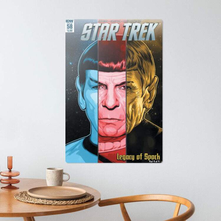 Placa Decorativa Star Trek 14