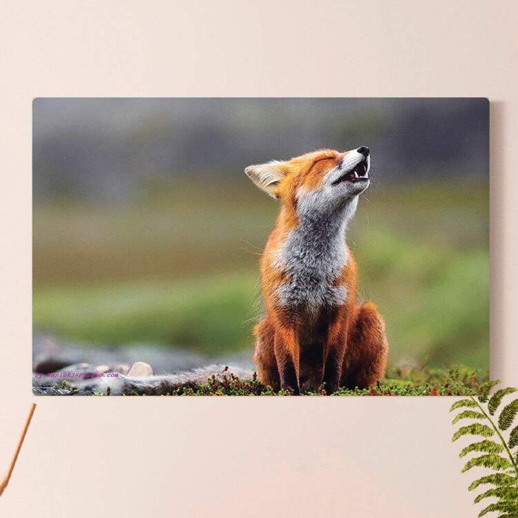Placa Decorativas Animais 90 Raposa