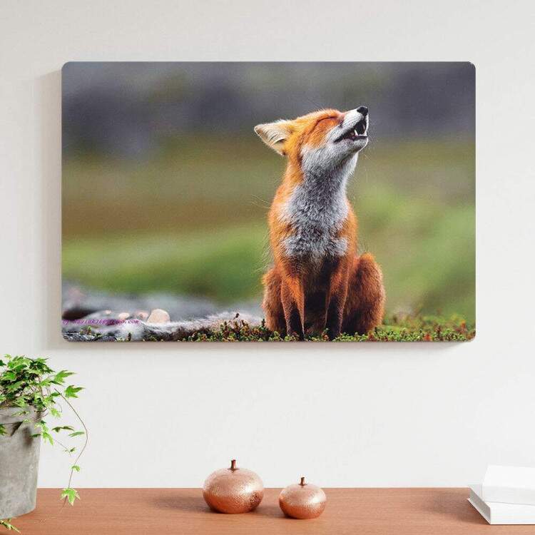 Placa Decorativas Animais 90 Raposa
