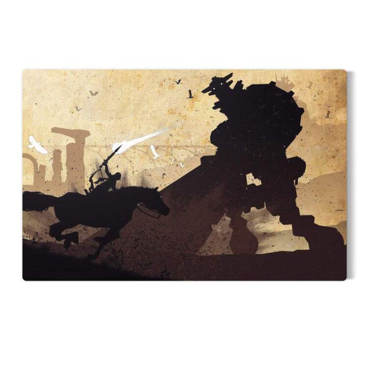 Placa Decorativa Shadow Of The Colossus 08