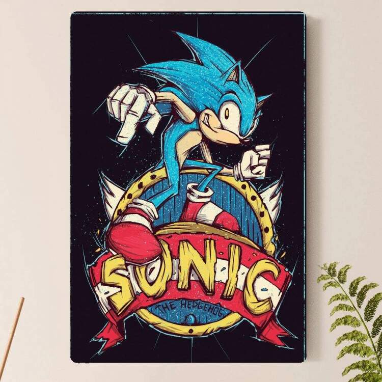 Placa Decorativa Sonic 19