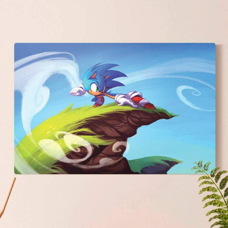 Placa Decorativa Sonic 25