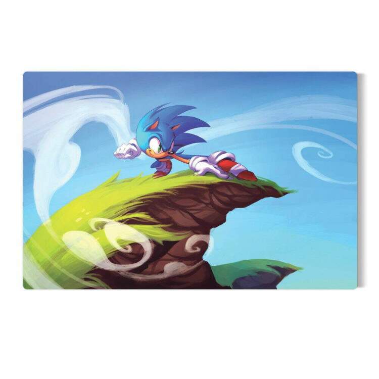 Placa Decorativa Sonic 25