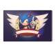 Placa Decorativa Sonic 27