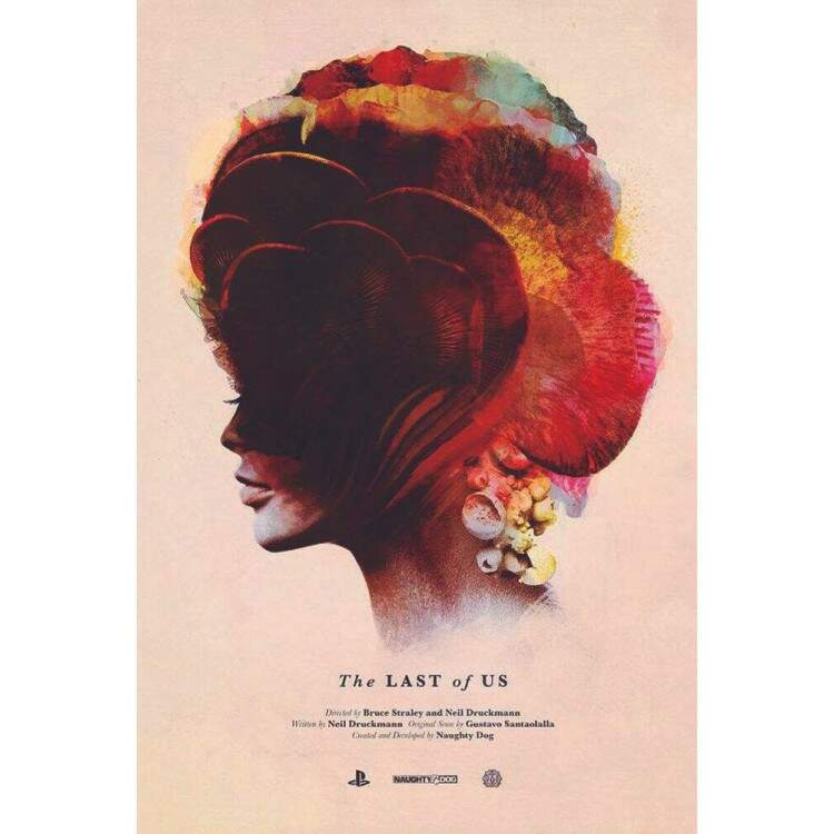 Placa Decorativa The Last of Us 13