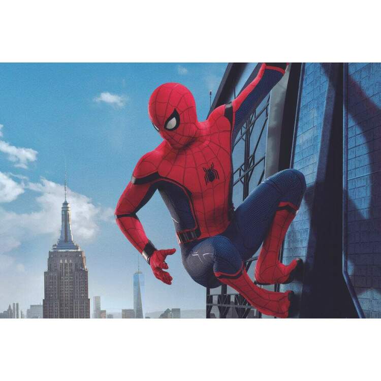 Placa Decorativa Homem Aranha De volta ao Lar 16