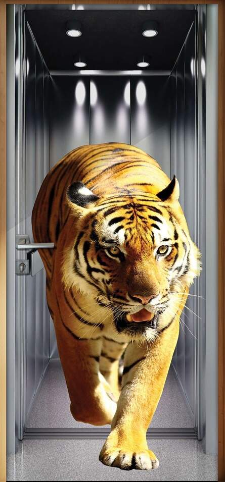 Adesivo para Porta Tigre no Elevador