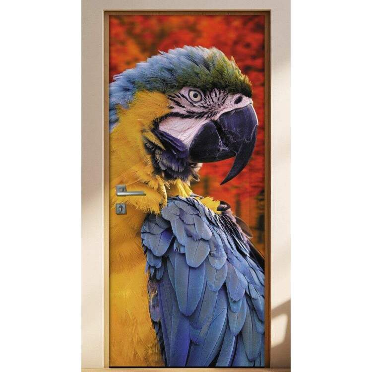 Adesivo Para Porta Arara