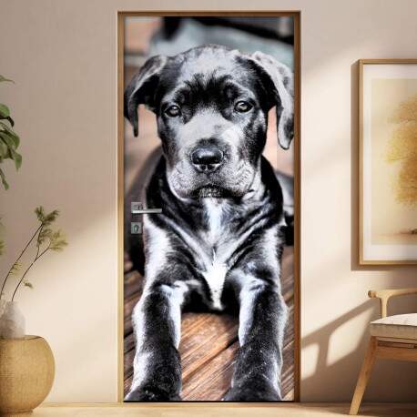 Adesivo Para Porta Animais Cachorro 01