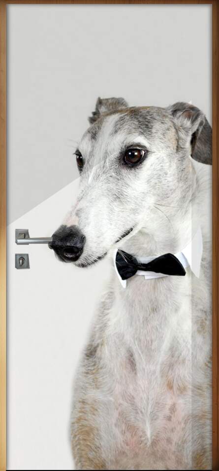 Adesivo Para Porta Animais Cachorro 04