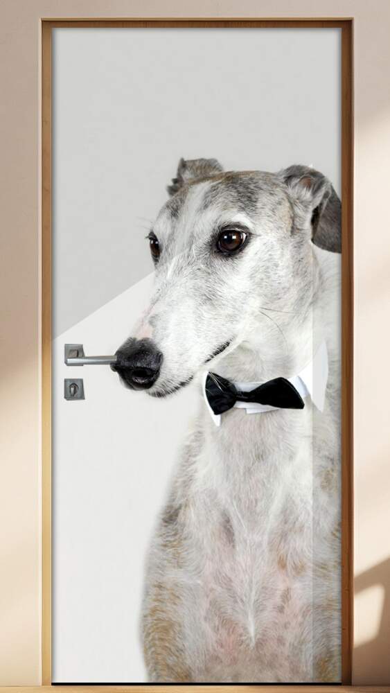 Adesivo Para Porta Animais Cachorro 04