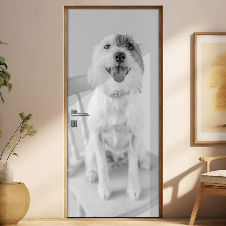 Adesivo Para Porta Animais Cachorro 06