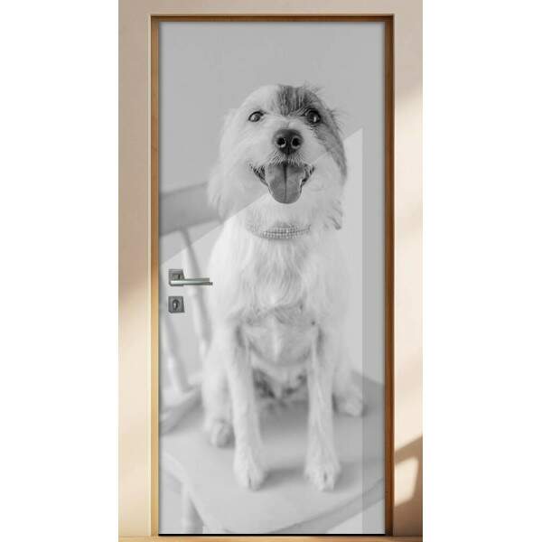 Adesivo Para Porta Animais Cachorro 06