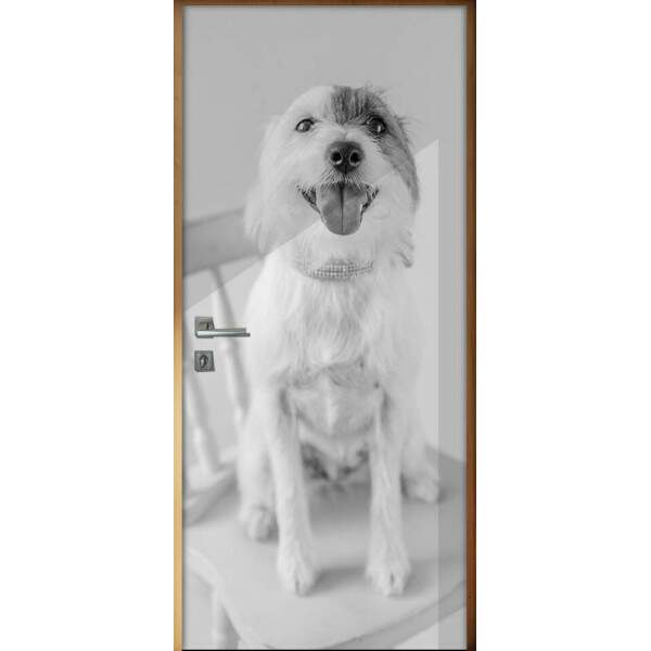 Adesivo Para Porta Animais Cachorro 06