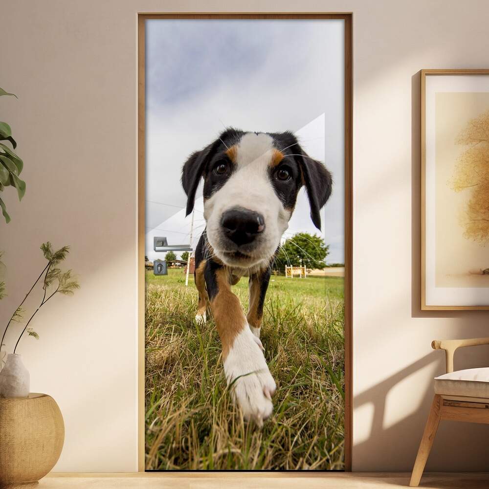 Adesivo Para Porta Animais Cachorro 07