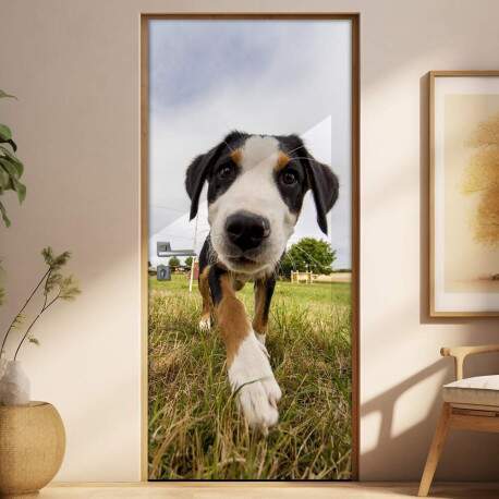Adesivo Para Porta Animais Cachorro 07