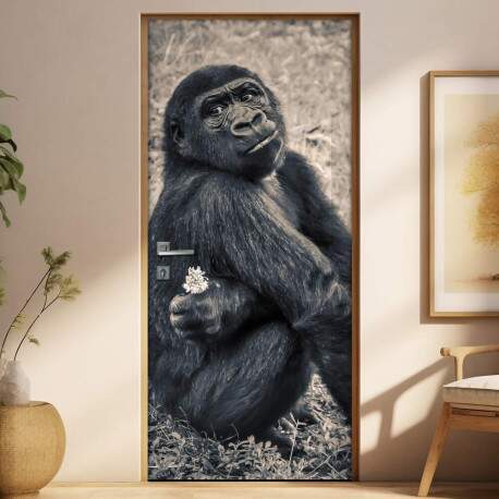 Adesivo Para Porta Animais Chimpanz