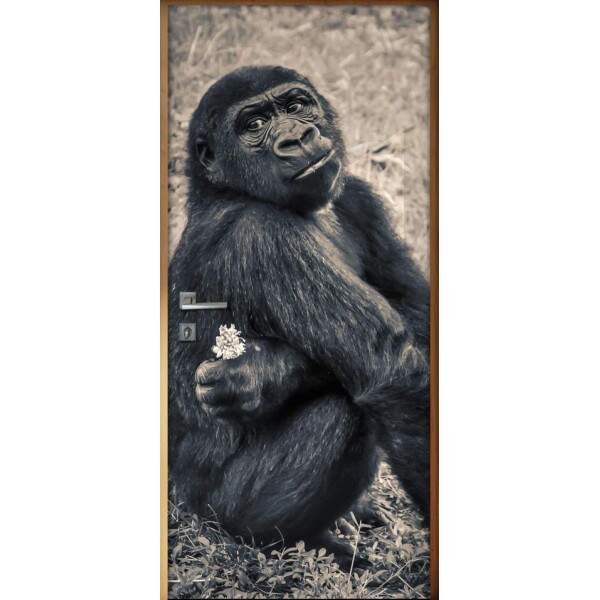 Adesivo Para Porta Animais Chimpanz
