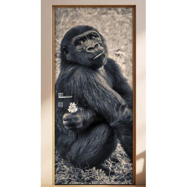 Adesivo Para Porta Animais Chimpanz