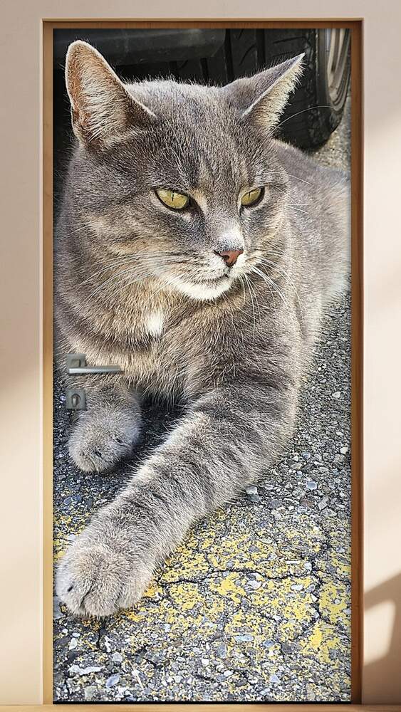 Adesivo Para Porta Animais Gato Deitado