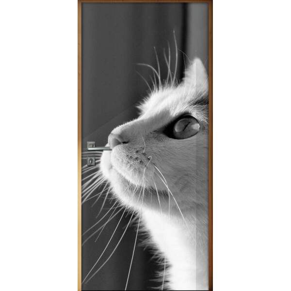 Adesivo Para Porta Animais Gato Fazendo Pose
