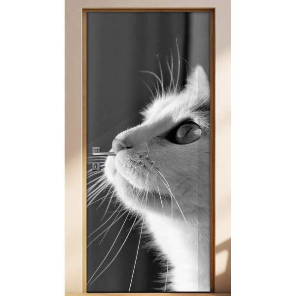Adesivo Para Porta Animais Gato Fazendo Pose