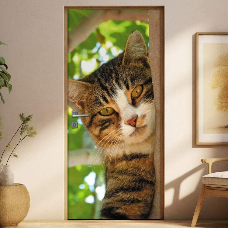 Adesivo Para Porta Animais Gato Na rvore