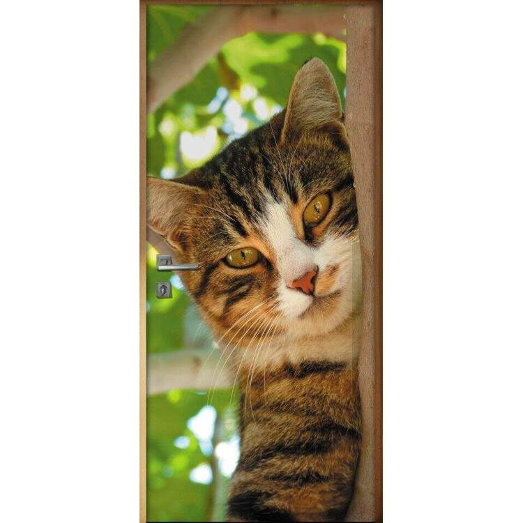 Adesivo Para Porta Animais Gato Na rvore
