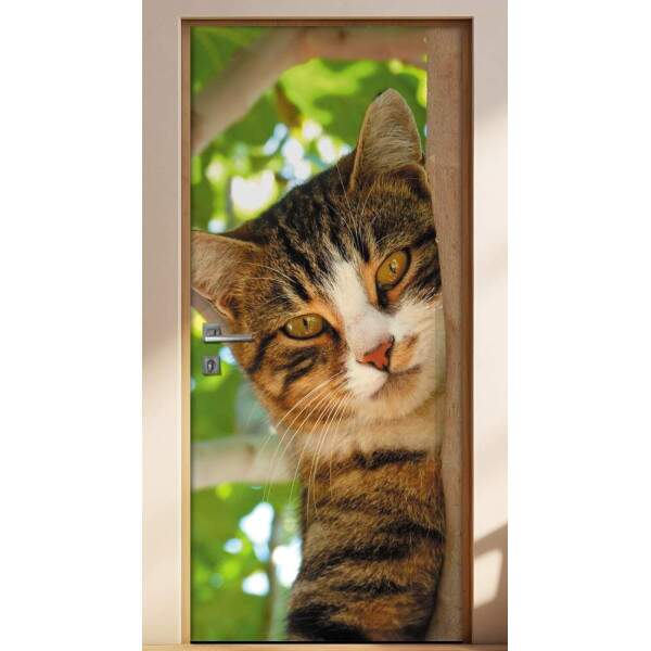 Adesivo Para Porta Animais Gato Na rvore