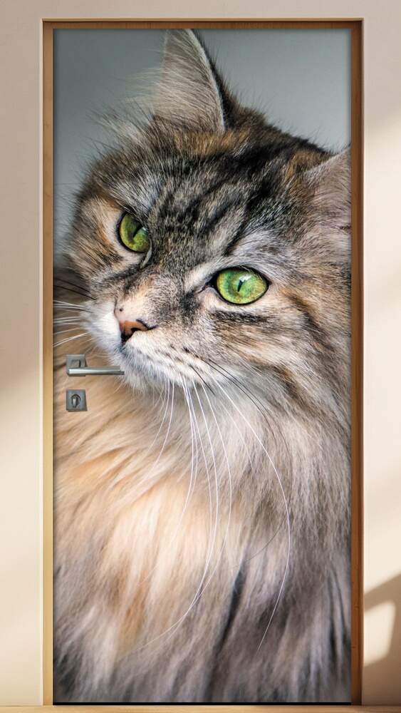 Adesivo Para Porta Animais Gato 02