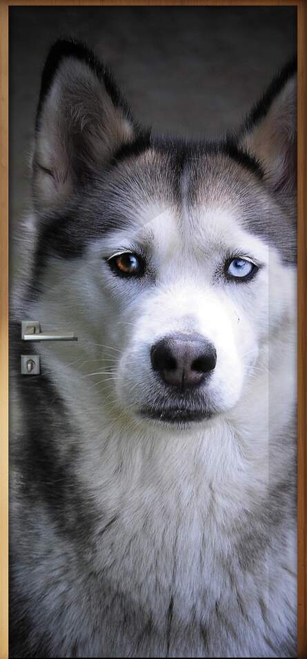 Adesivo Para Porta Animais Lobo 02