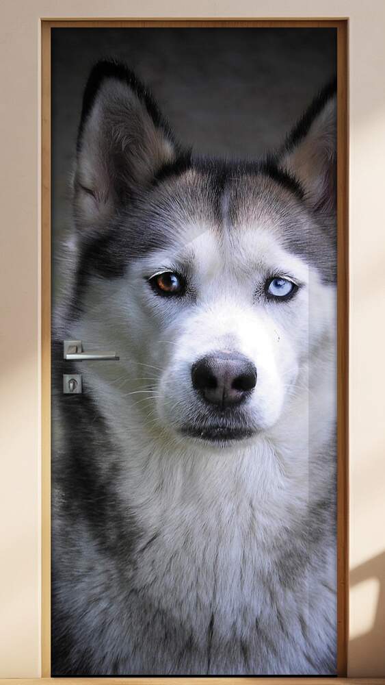 Adesivo Para Porta Animais Lobo 02