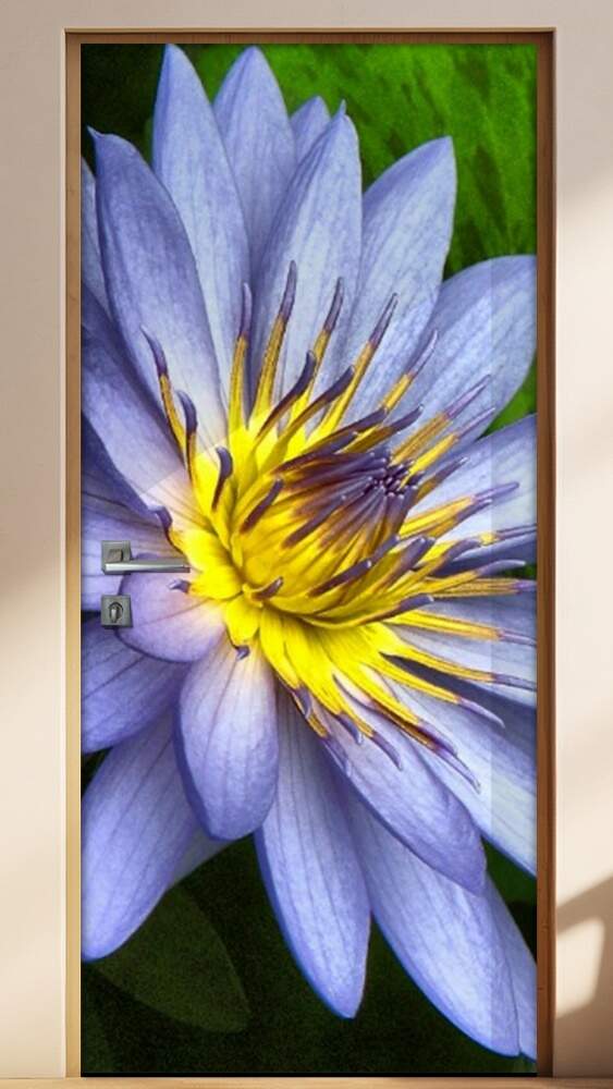 Adesivo para Porta Florais Flor de L�tus 01