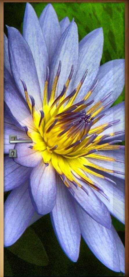 Adesivo para Porta Florais Flor de Ltus 01