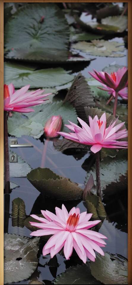 Adesivo para Porta Florais Flor de Ltus 03